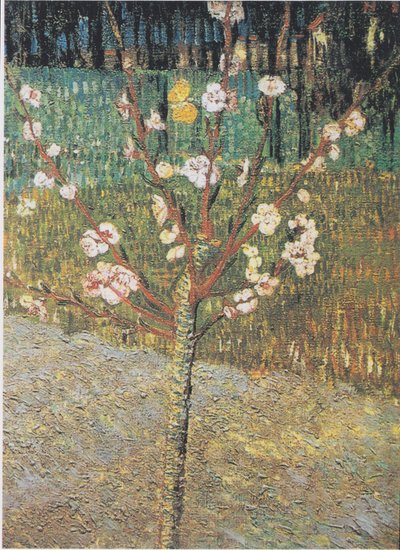 Blooming Almond Tree by Vincent van Gogh